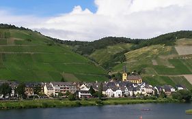 Vegan Hotel Und Restaurants Nicolay 1881